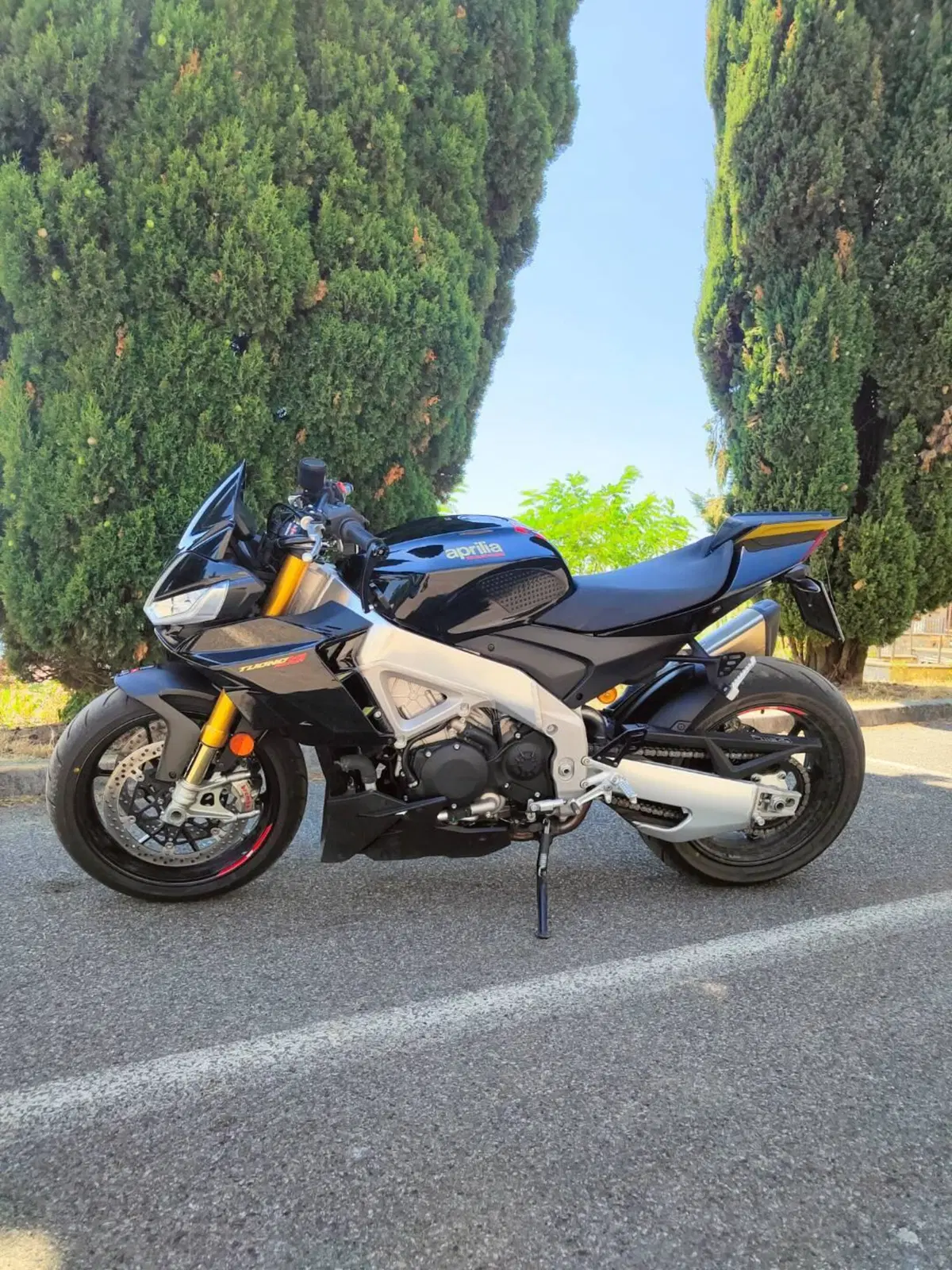Aprilia Tuono V4 Factory (2021 - 24) (10)