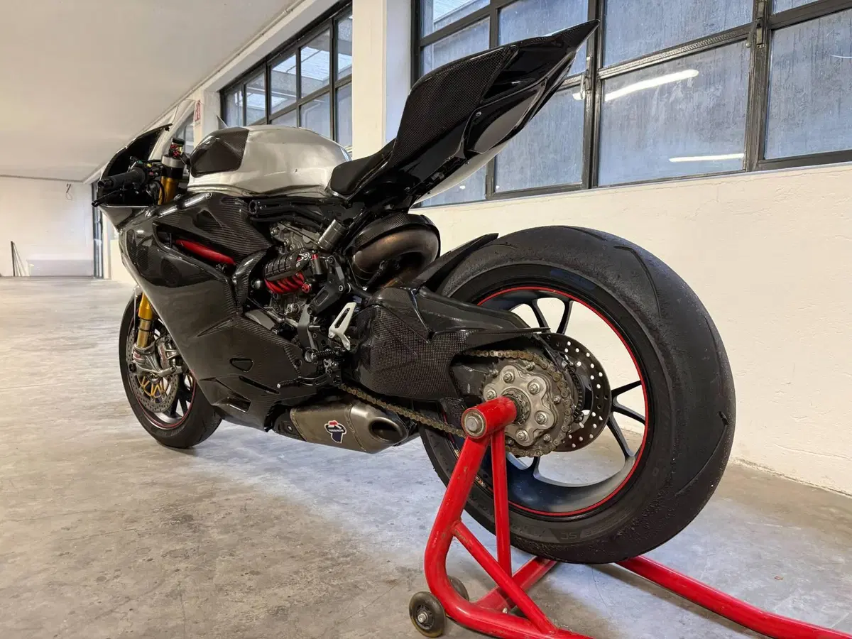 Ducati 1199 Panigale R ABS (2013 - 17) (2)