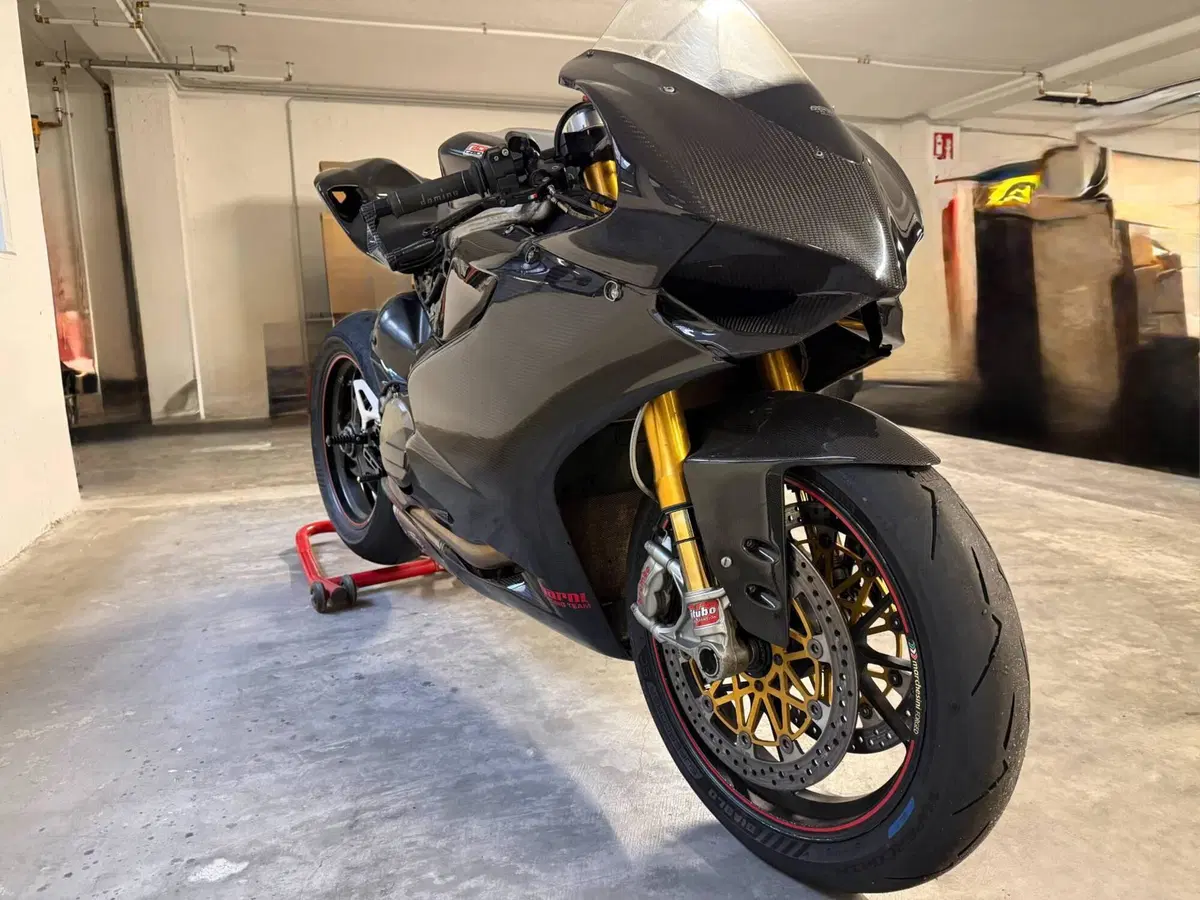 Ducati 1199 Panigale R ABS (2013 - 17) (3)