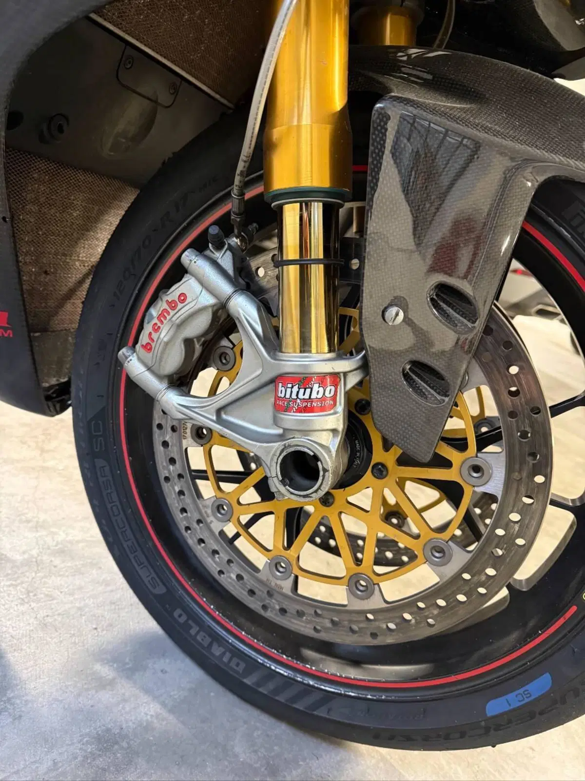 Ducati 1199 Panigale R ABS (2013 - 17) (4)
