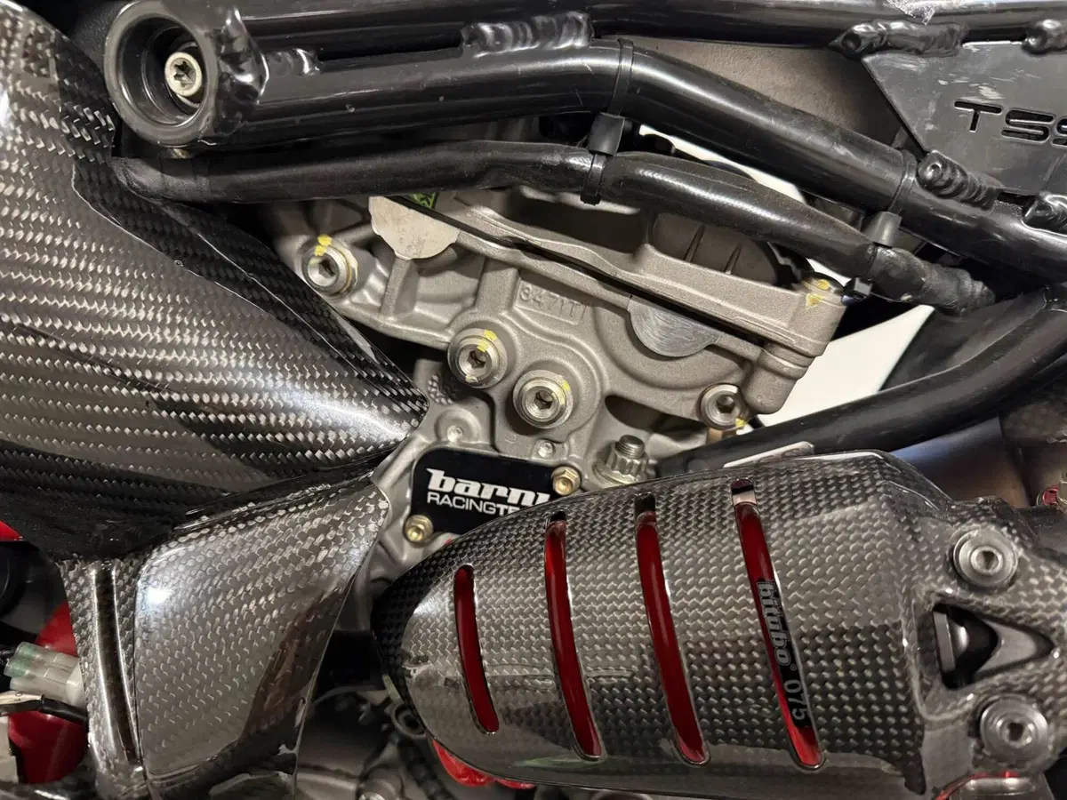 Ducati 1199 Panigale R ABS (2013 - 17) (8)