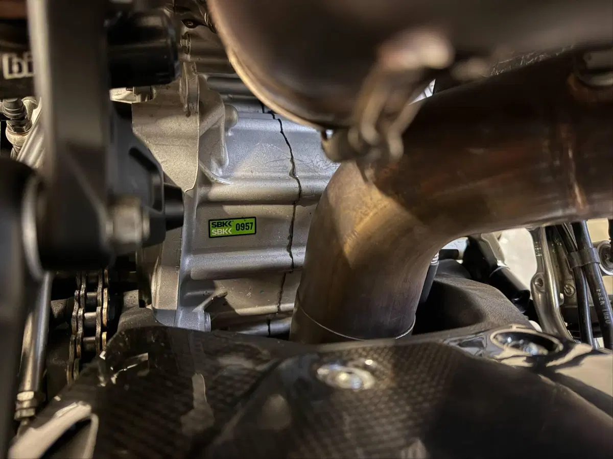 Ducati 1199 Panigale R ABS (2013 - 17) (9)