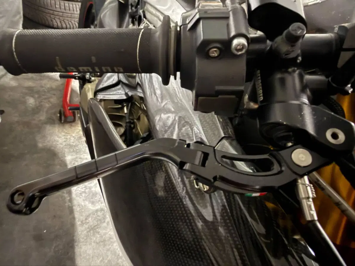 Ducati 1199 Panigale R ABS (2013 - 17) (11)