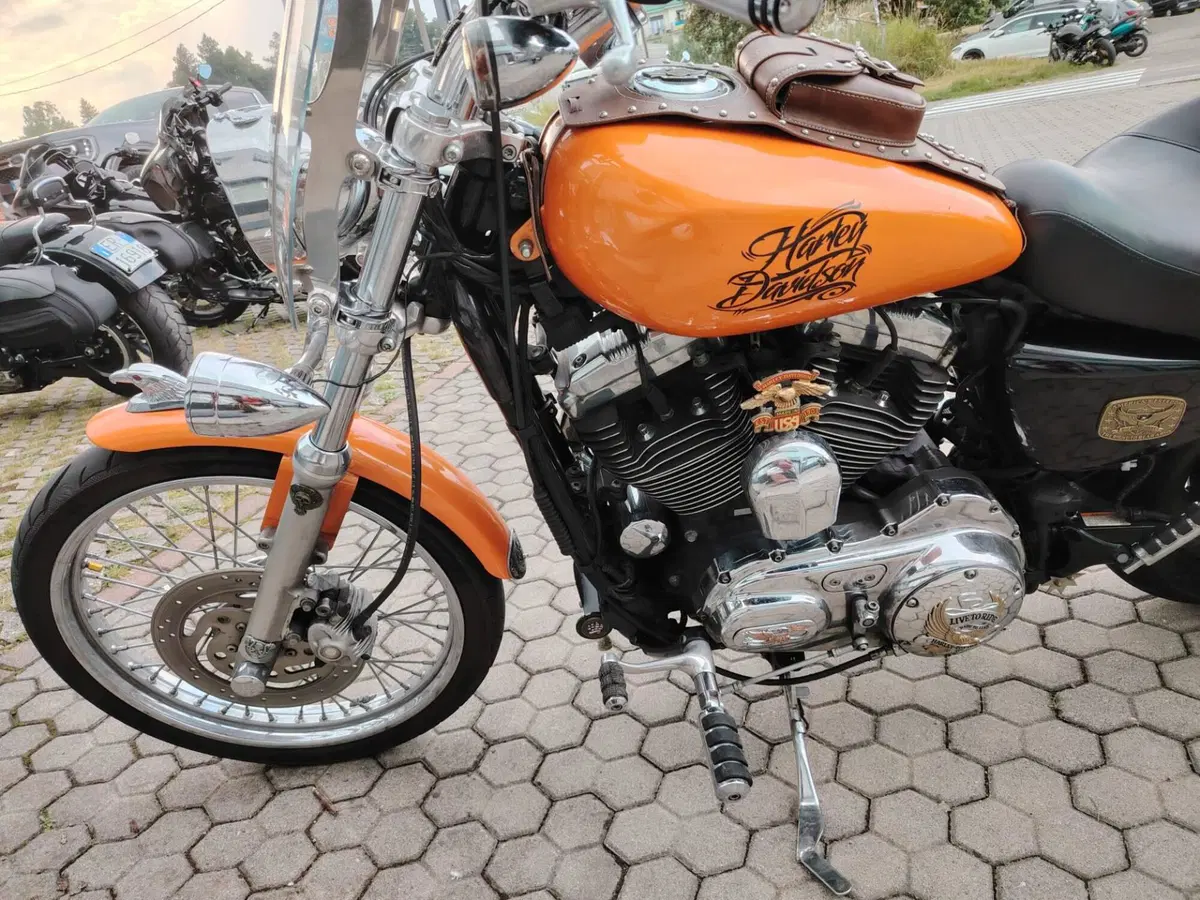 Harley-Davidson 1200 Custom (2007 - 13) - XL 1200C (2)