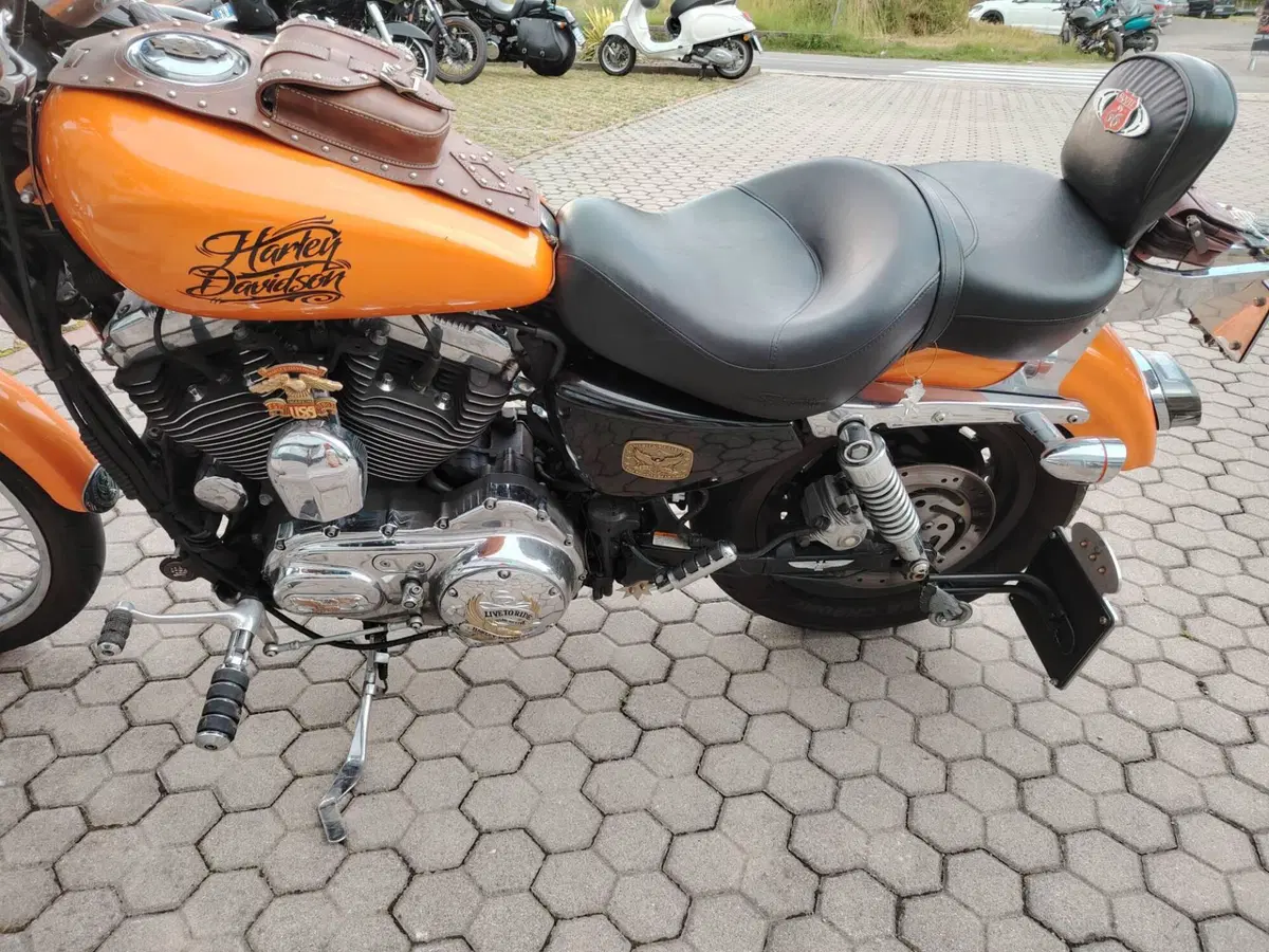 Harley-Davidson 1200 Custom (2007 - 13) - XL 1200C (3)