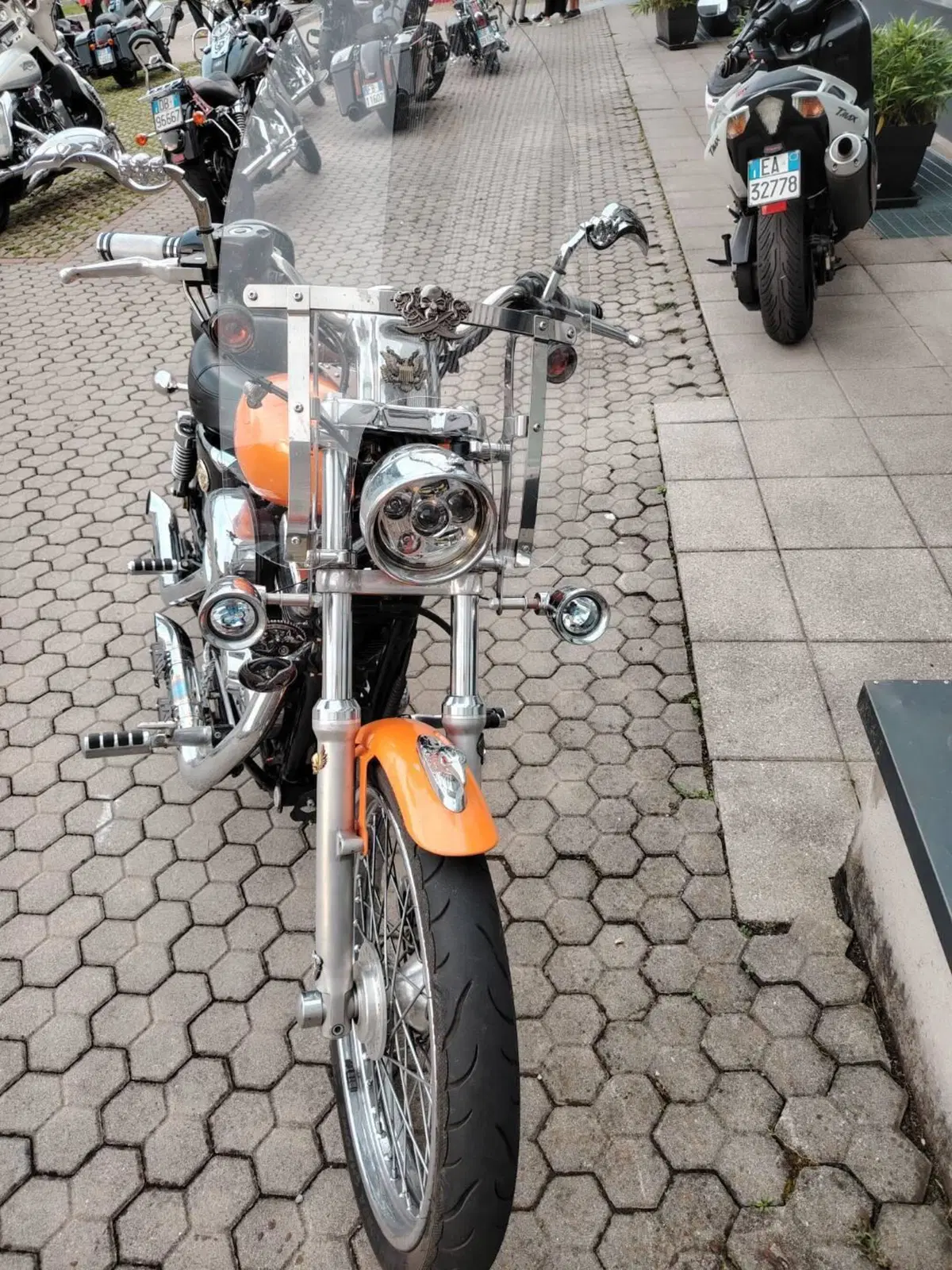 Harley-Davidson 1200 Custom (2007 - 13) - XL 1200C (4)