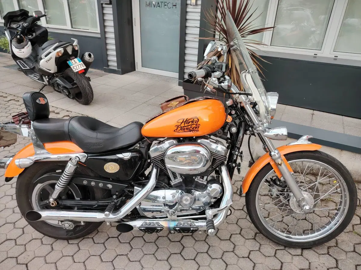 Harley-Davidson 1200 Custom (2007 - 13) - XL 1200C (7)
