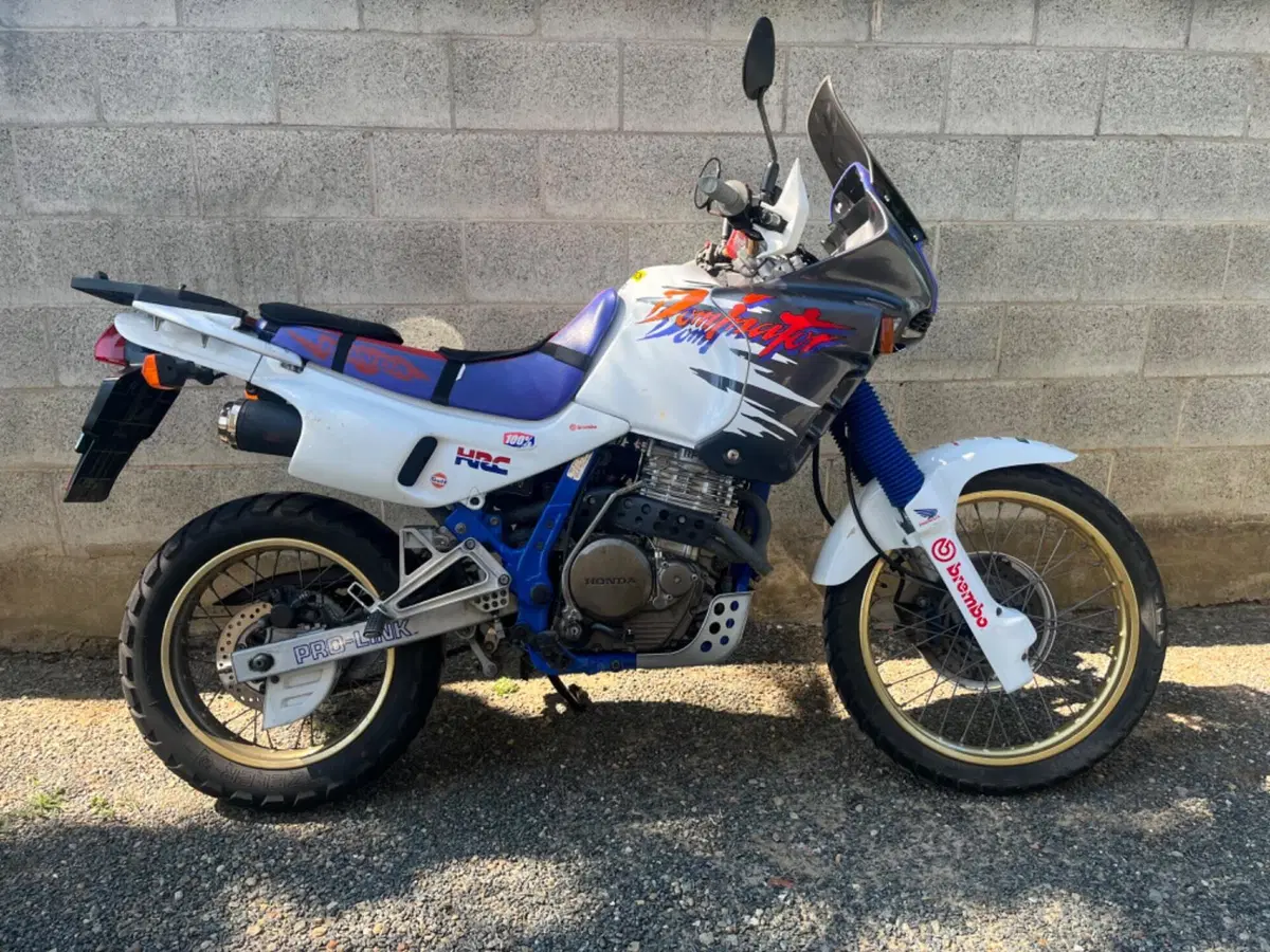 Honda NX 650 Dominator (1988 - 90)