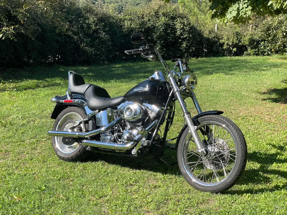 Harley-Davidson 1584 Custom (2007) - FXSTC