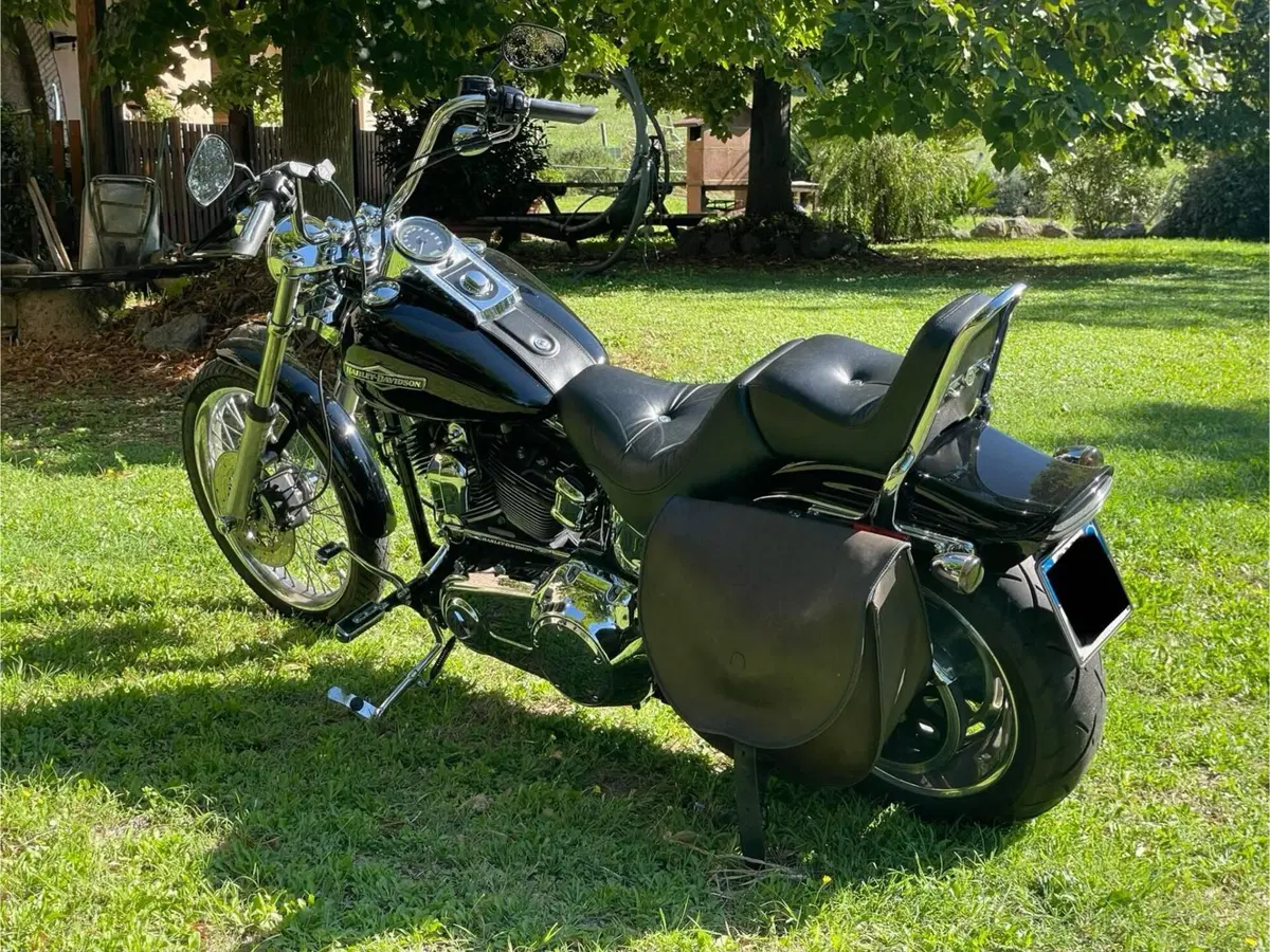 Harley-Davidson 1584 Custom (2007) - FXSTC (2)
