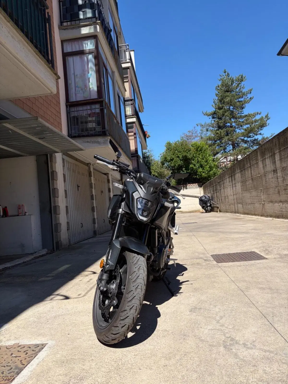 Honda CB 500 Hornet (2024 - 25) (2)
