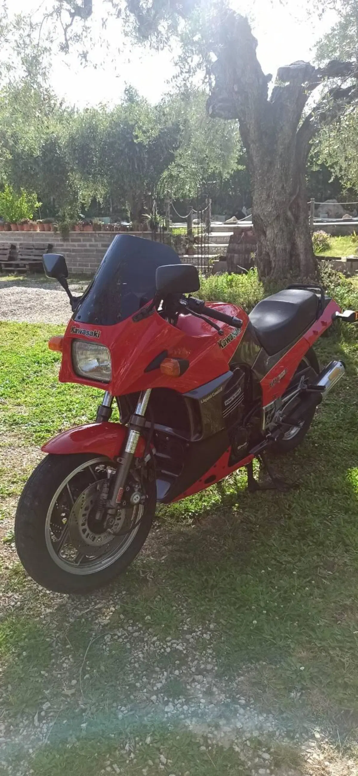 Kawasaki GPz900r (4)