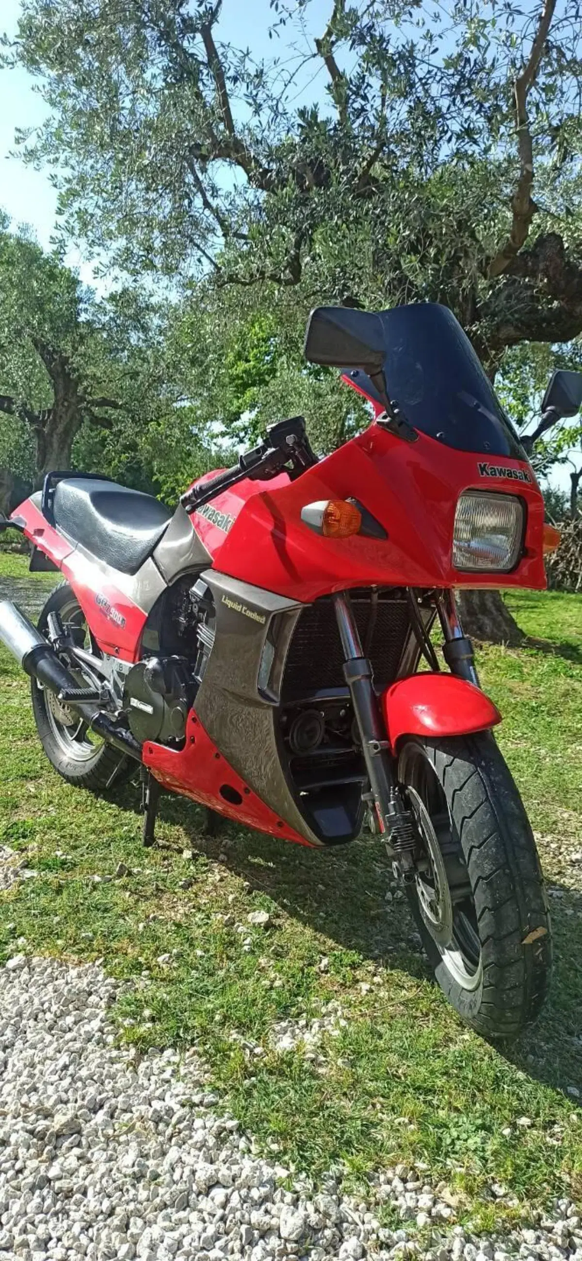 Kawasaki GPz900r (5)