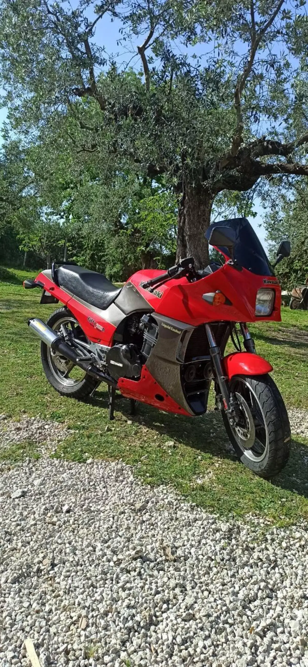 Kawasaki GPz900r (6)