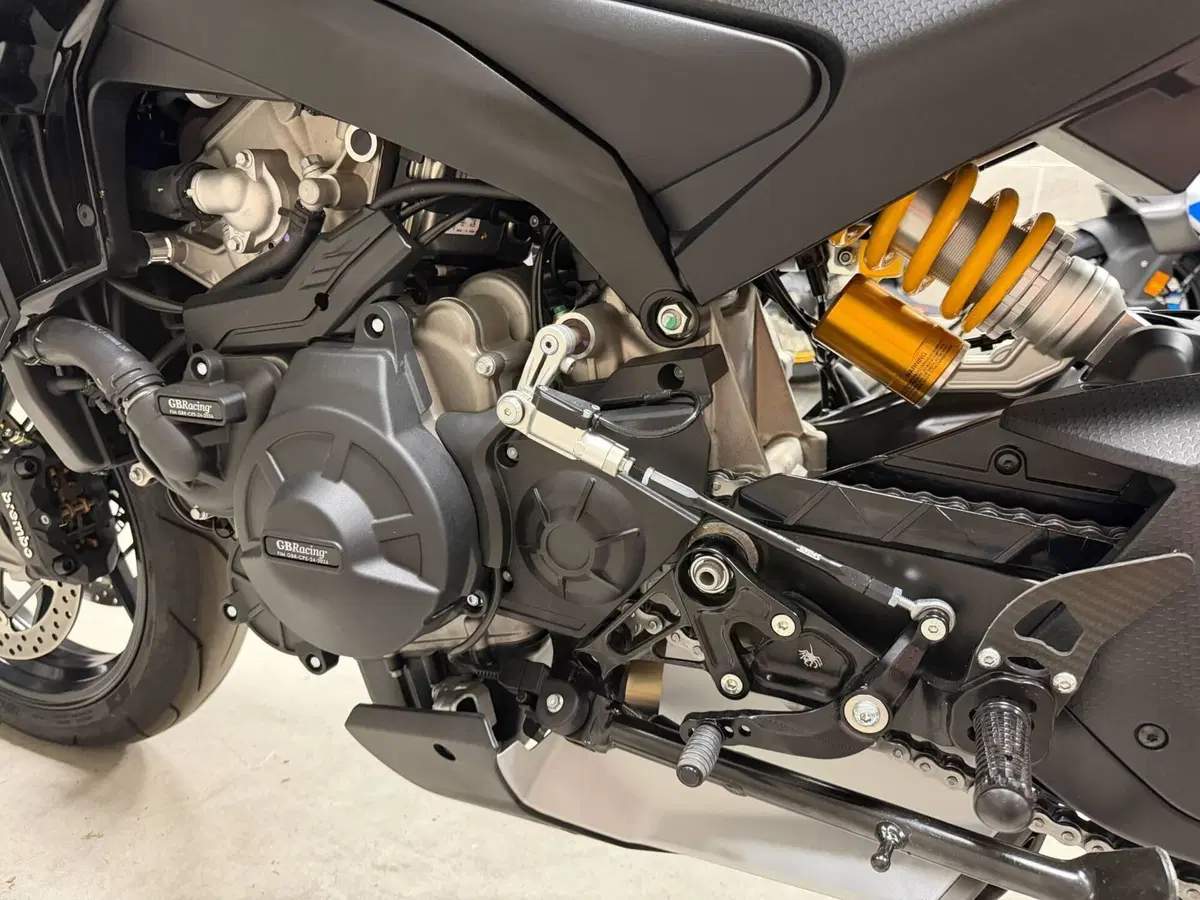 Aprilia Tuono 660 Factory (2025 - 26) (10)