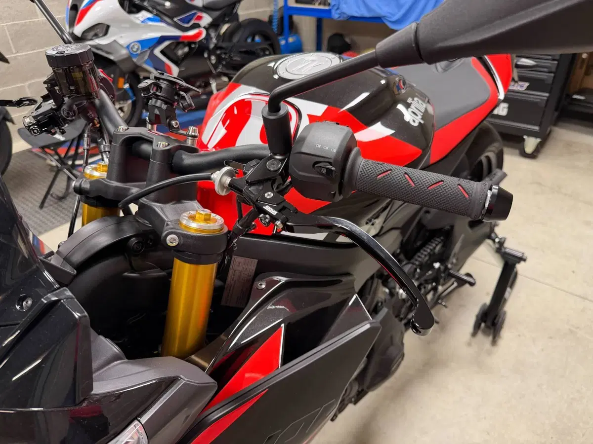 Aprilia Tuono 660 Factory (2025 - 26) (11)