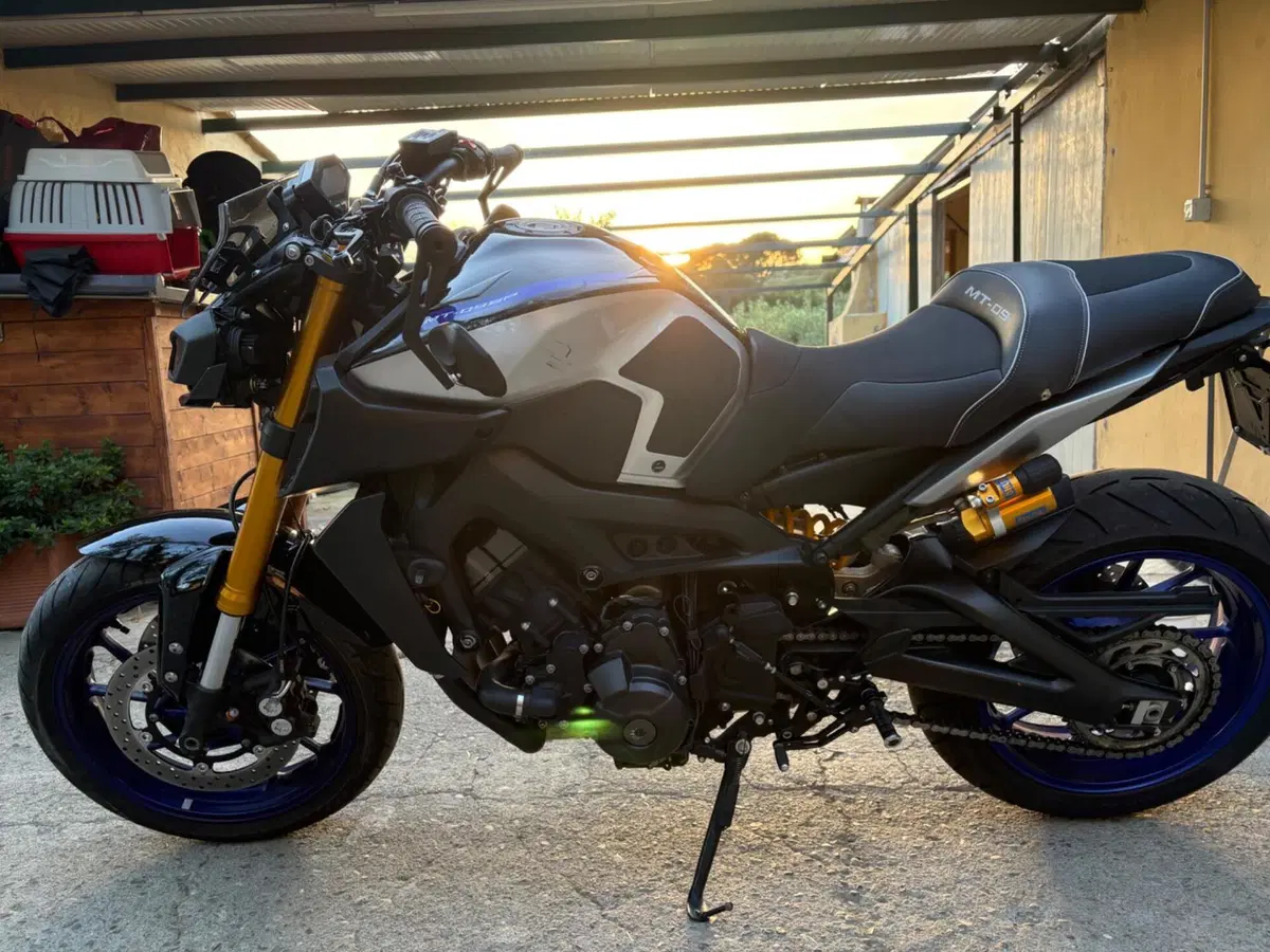 Yamaha MT-09 SP (2018 - 20) (3)