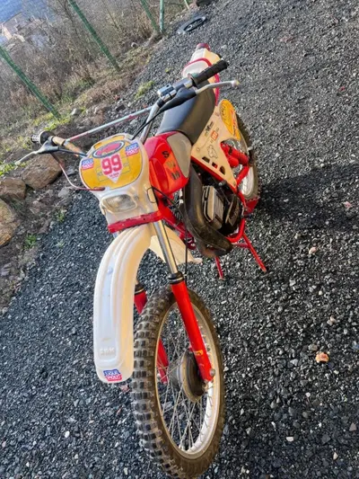 Swm GS 250 d'epoca