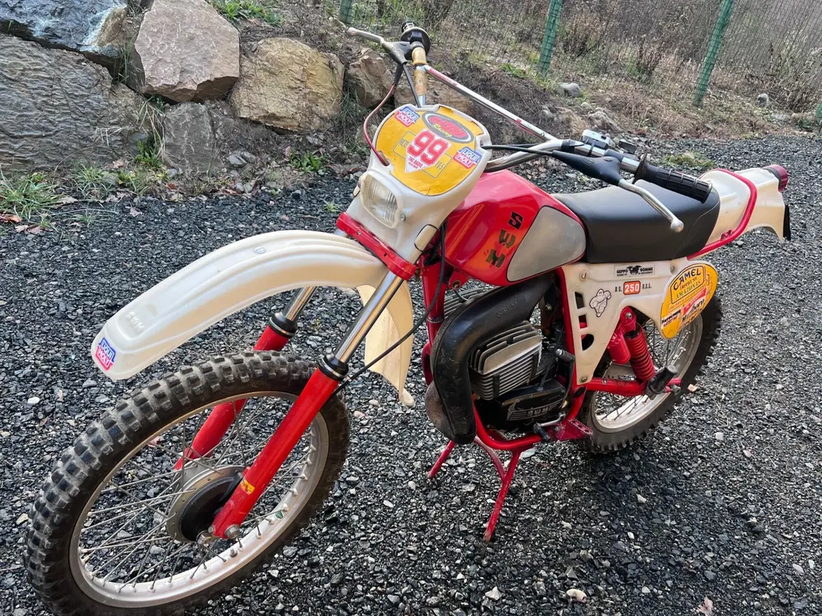 Swm GS 250 (8)