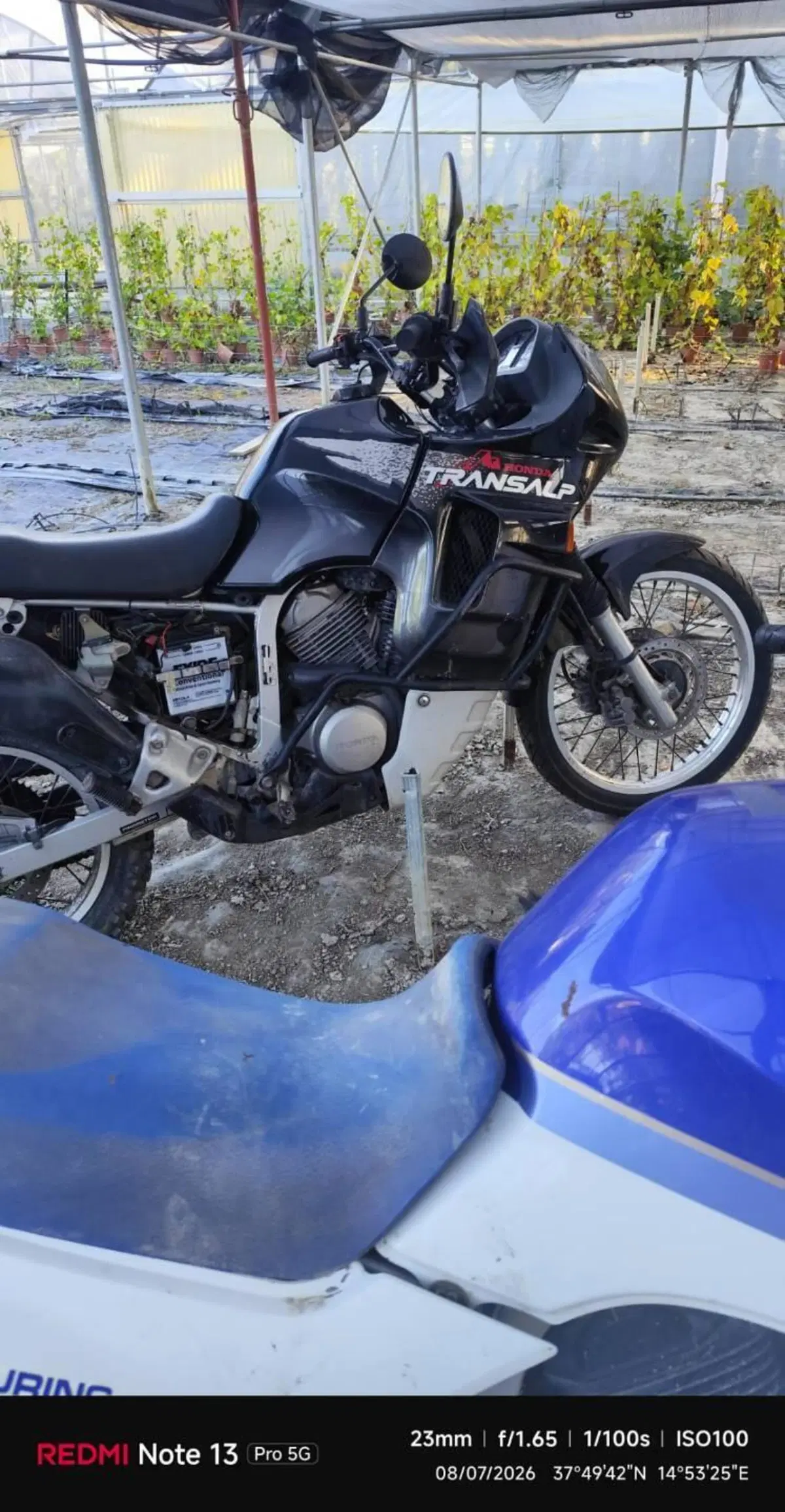 Honda TRANSALP 600 (3)