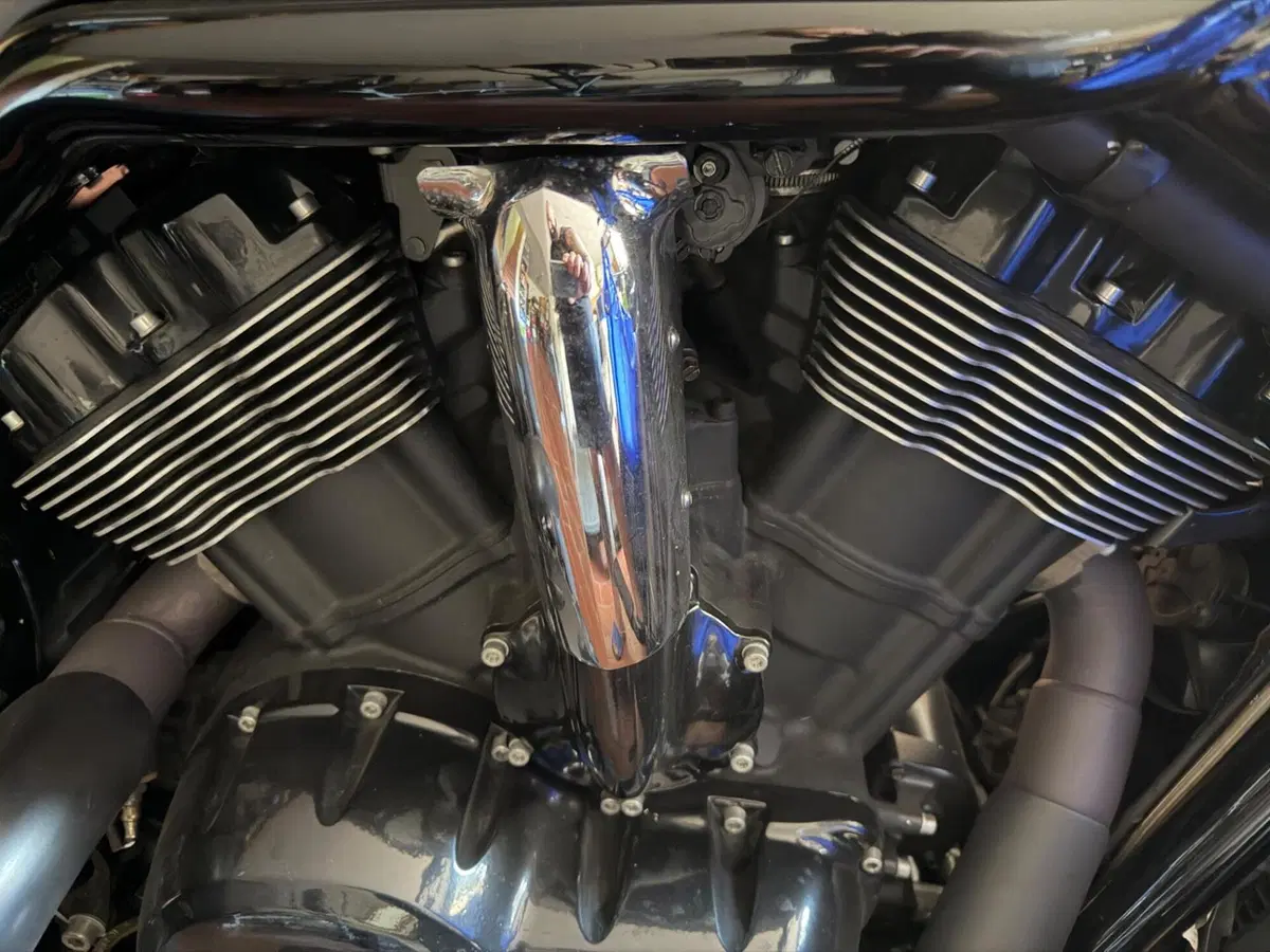 Harley-Davidson 1250 V-Rod Muscle (2009 - 17) - VRSCF (12)