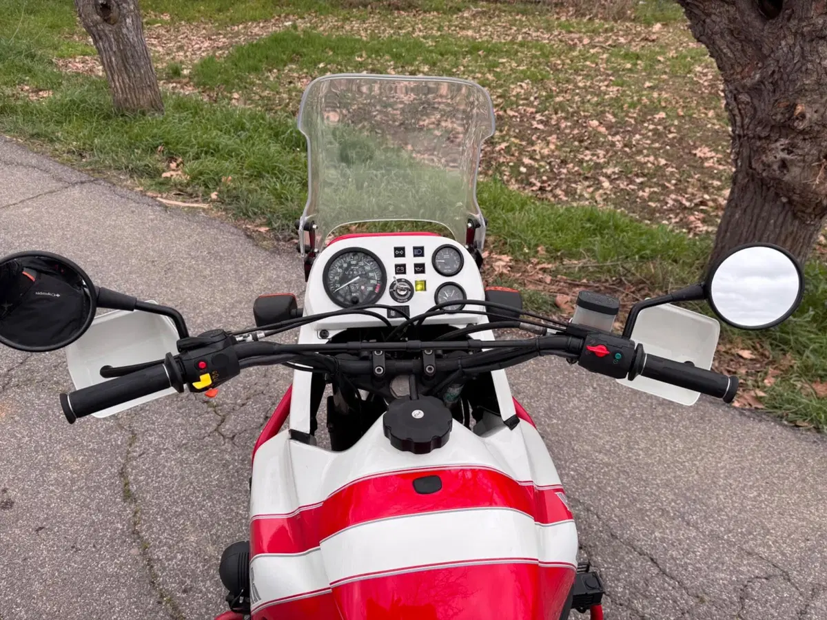 Bmw R100 gs Paris Dakar r 100 (8)