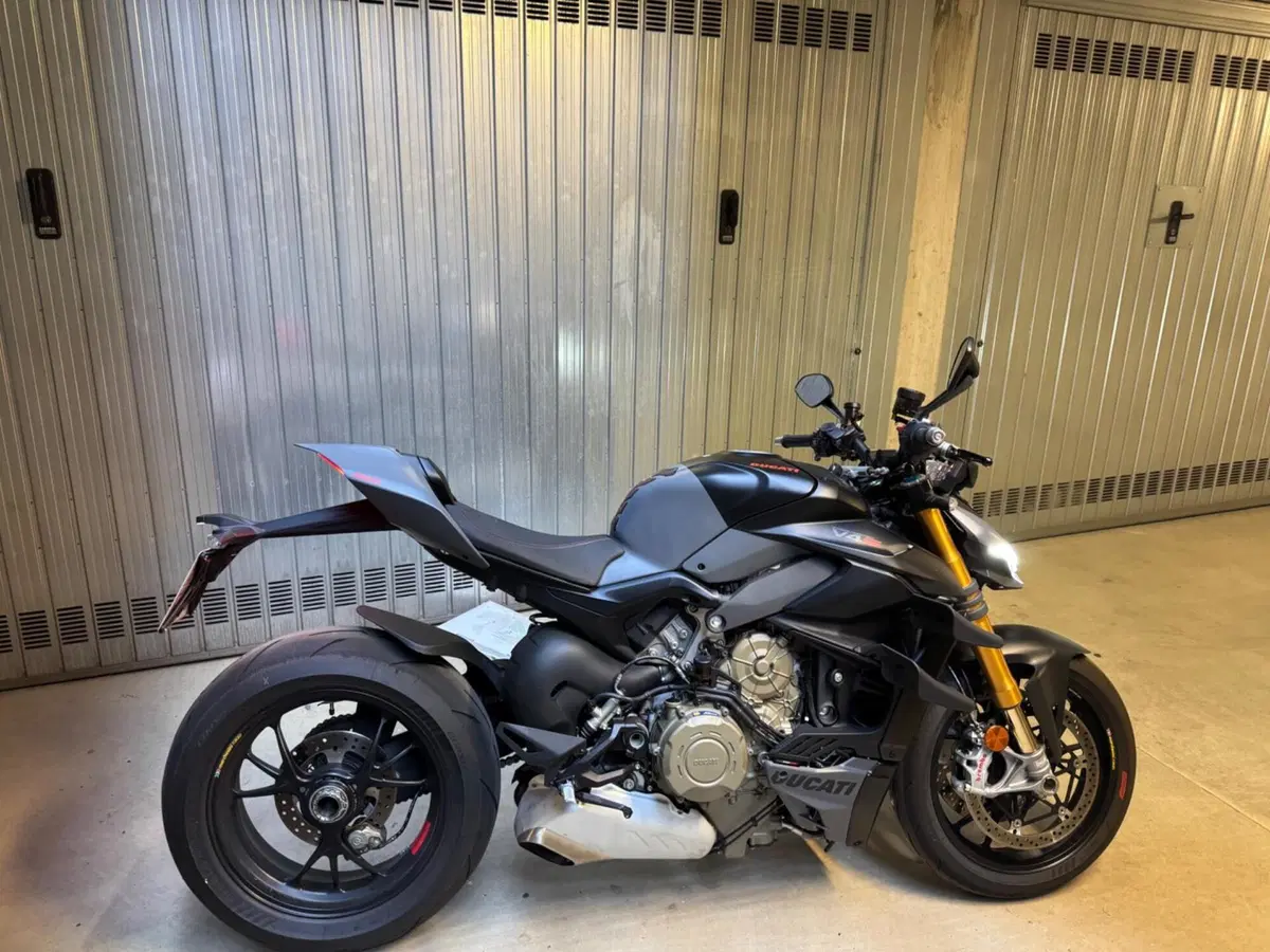 Ducati Streetfighter V4 (2023 - 24) (3)