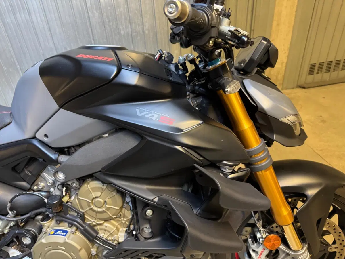 Ducati Streetfighter V4 (2023 - 24) (7)