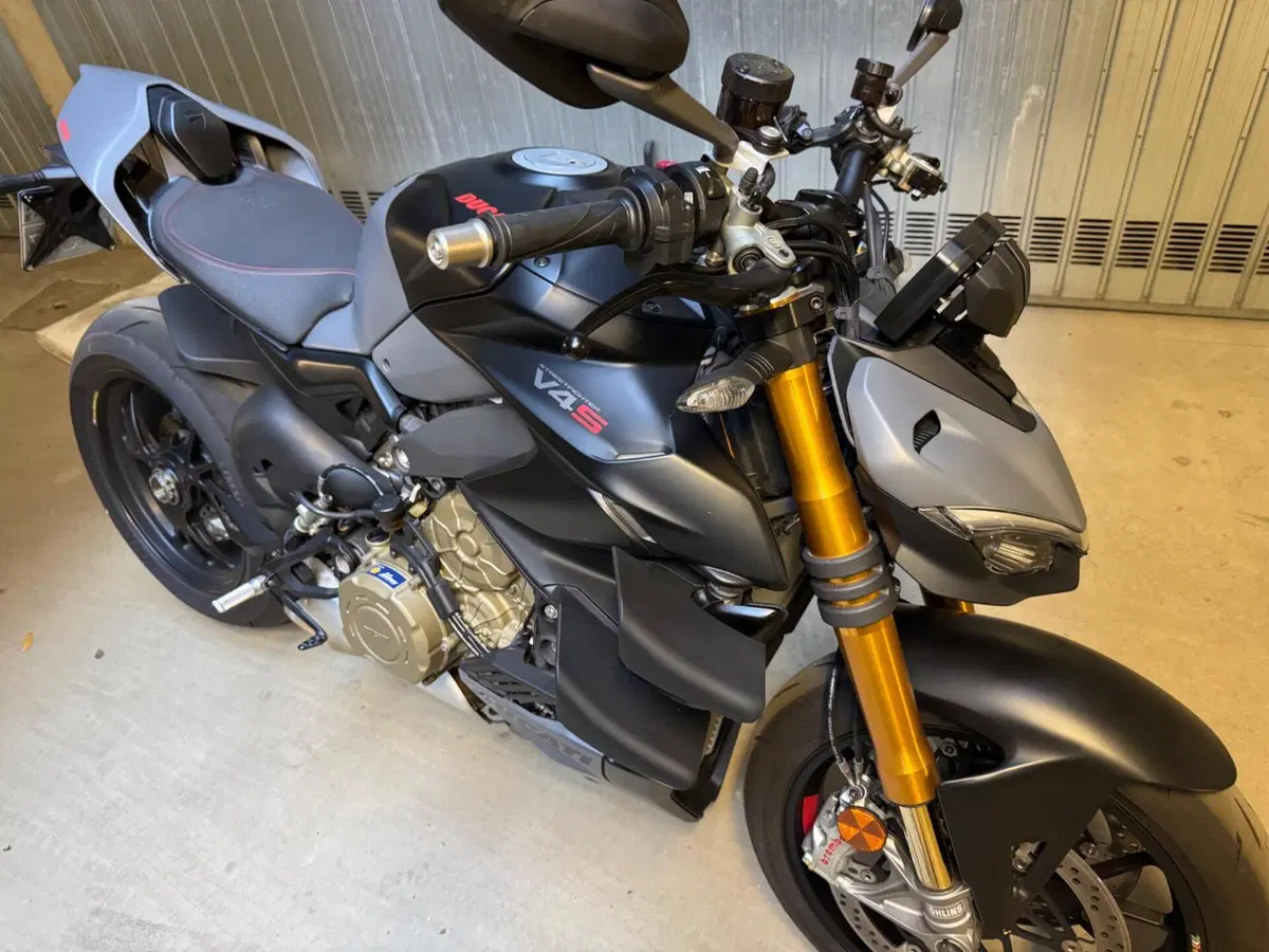 Ducati Streetfighter V4 (2023 - 24) (8)