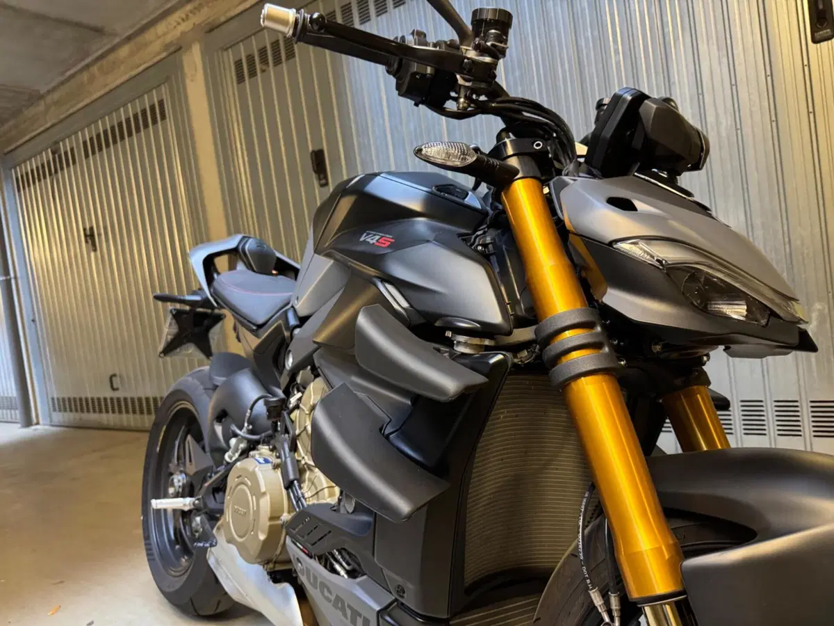 Ducati Streetfighter V4 (2023 - 24) (9)