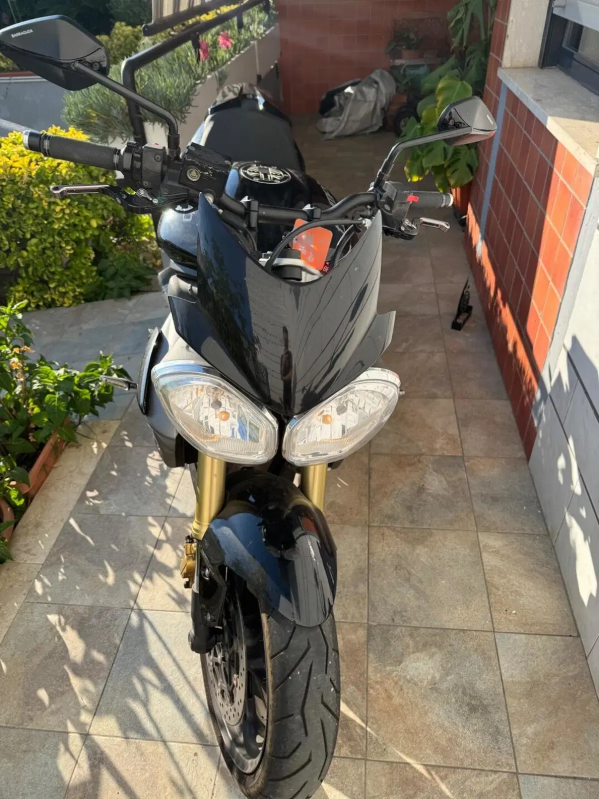 Triumph Street Triple R ABS (2013 - 17) (4)