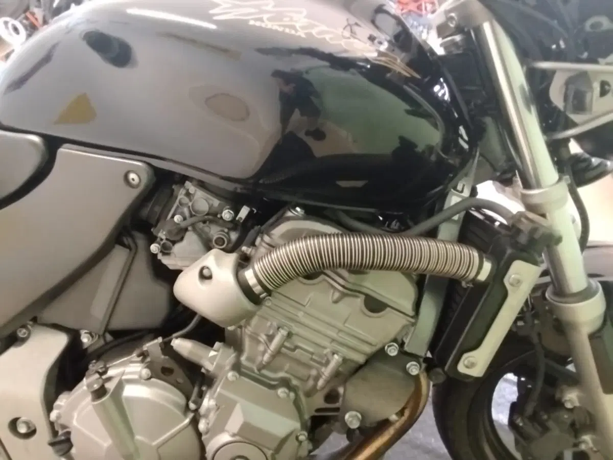 Honda Hornet 600 (1998 - 00) (7)