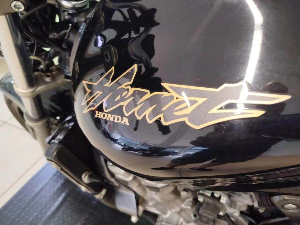 Honda Hornet 600 (1998 - 00) (8)