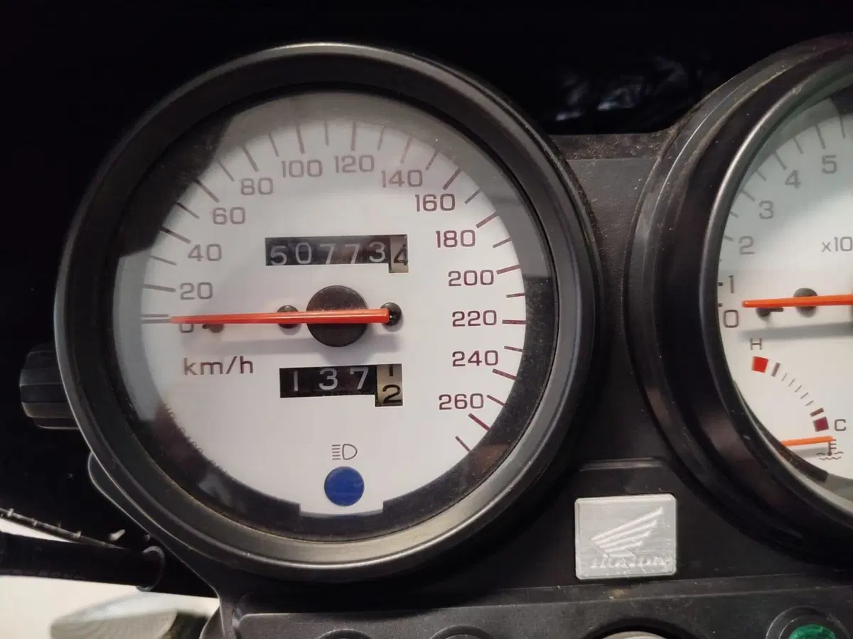 Honda Hornet 600 (1998 - 00) (9)