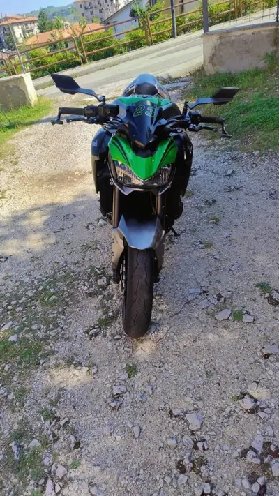 Kawasaki Z 900 (2019) usata