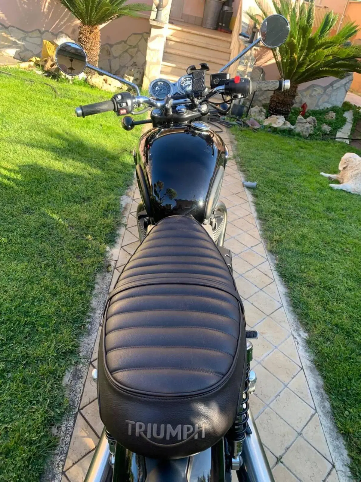 Triumph Bonneville T100 (2021 - 25) (5)