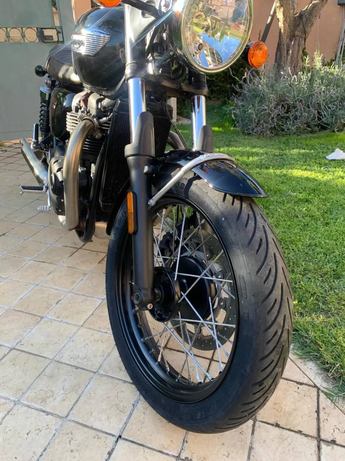 Triumph Bonneville T100 (2021 - 25) (6)