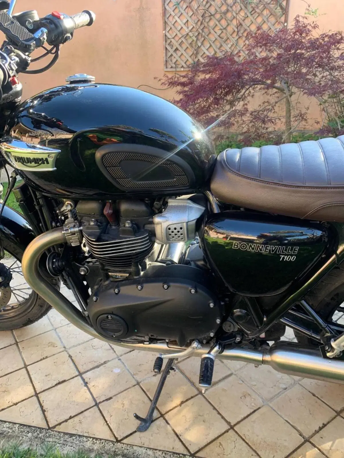 Triumph Bonneville T100 (2021 - 25) (10)