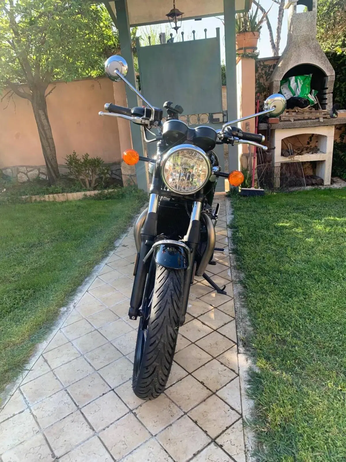 Triumph Bonneville T100 (2021 - 25) (12)