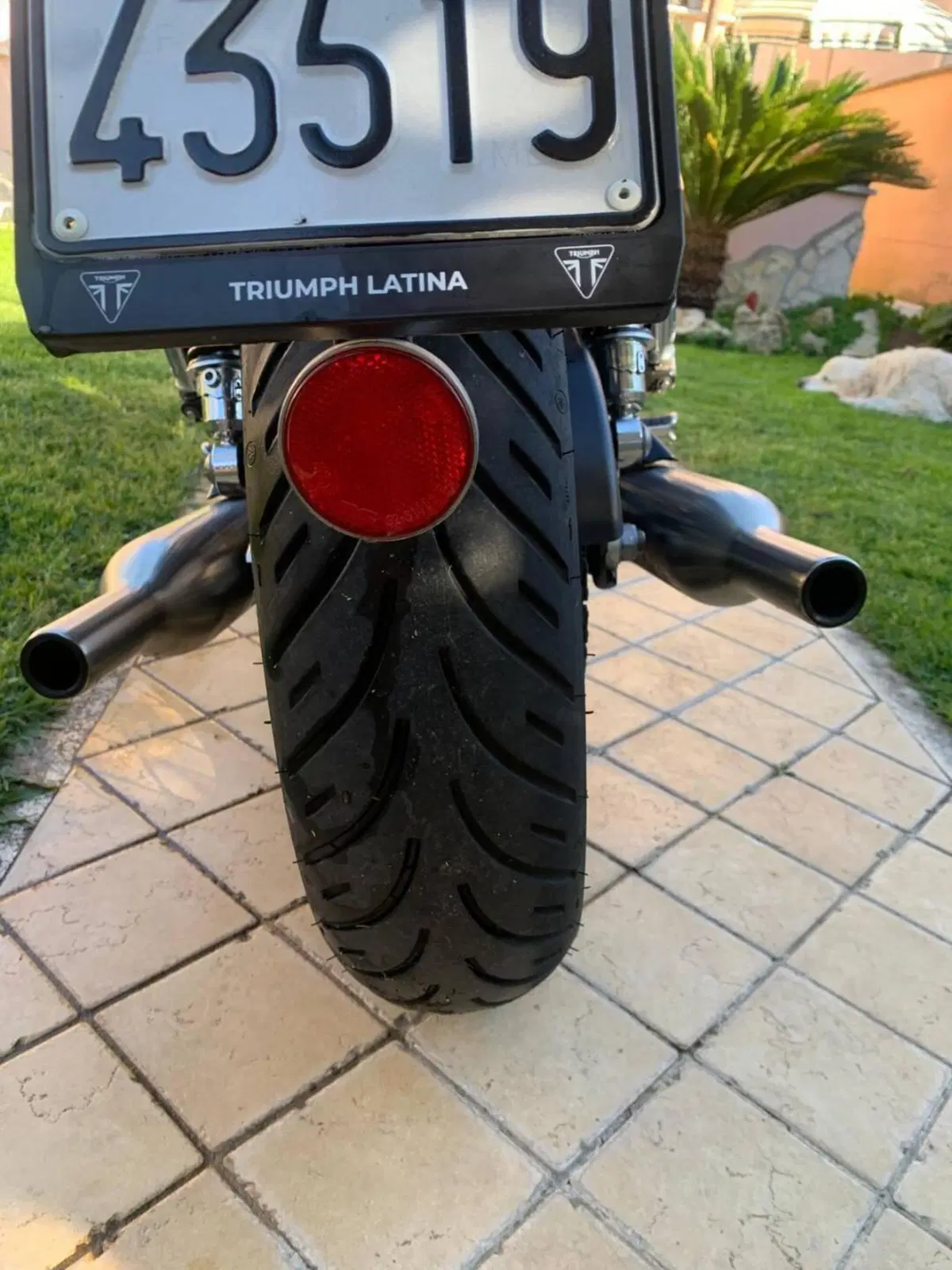 Triumph Bonneville T100 (2021 - 25) (13)