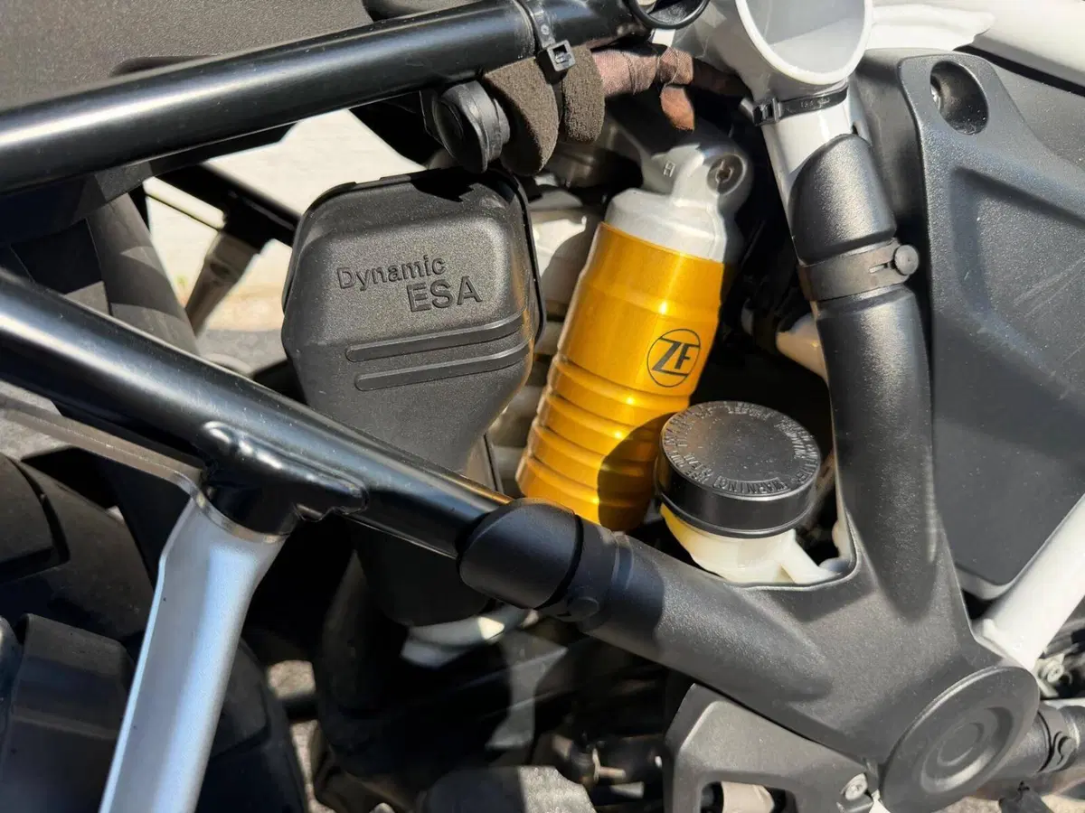 Bmw R 1250 GS Adventure (2019 - 20) (8)