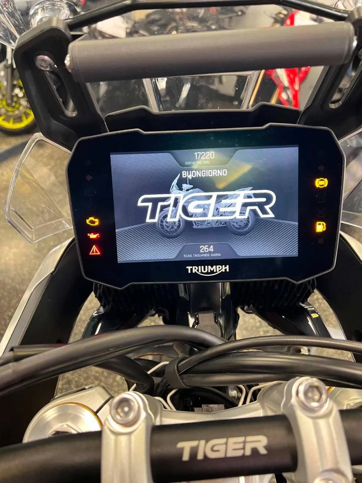 Triumph Tiger 900 Rally Pro (2020 - 23) (8)