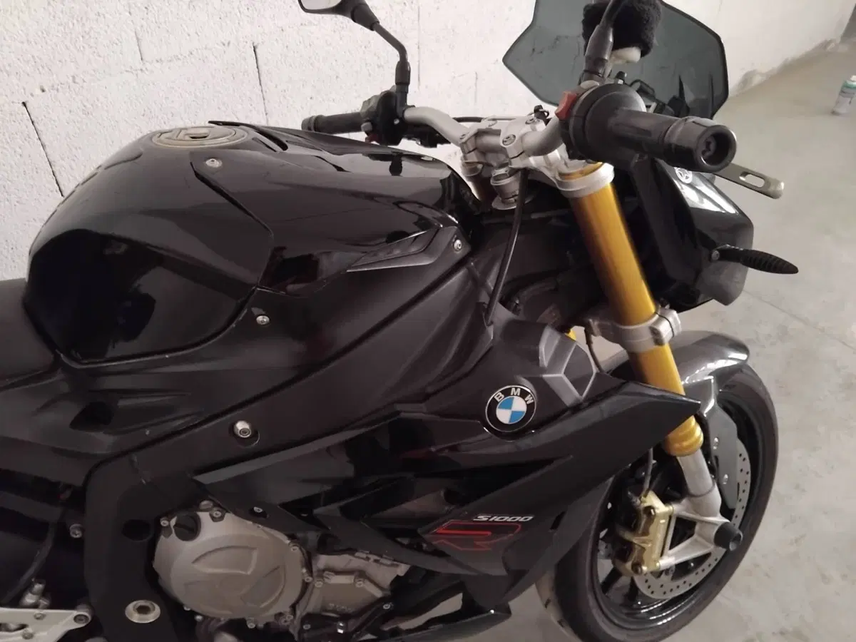 Bmw S 1000 R (2014 - 16) (6)
