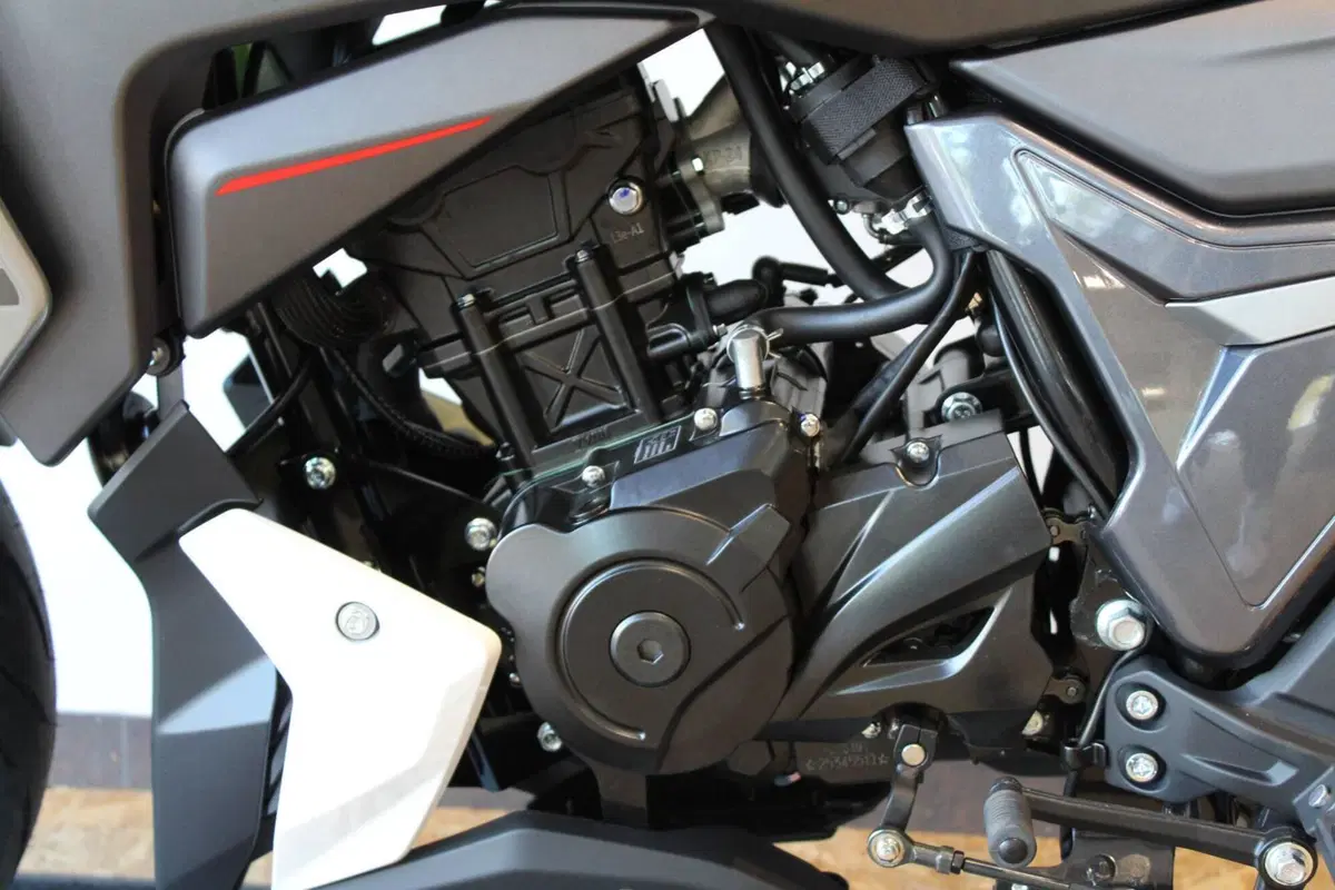 Morbidelli F125 (2025 - 26) (8)