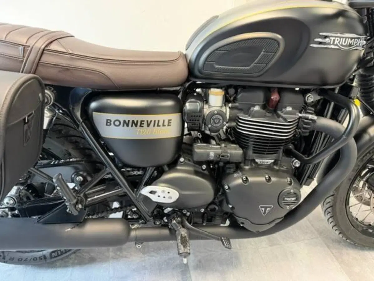 Triumph Bonneville T120 Gold Line Edition (2022 - 23) (2)