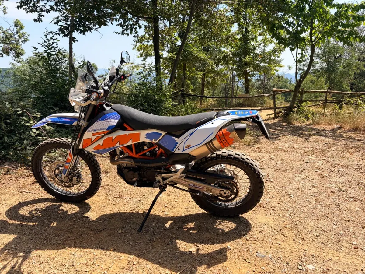 KTM 690 Enduro R (2009 - 11) (2)