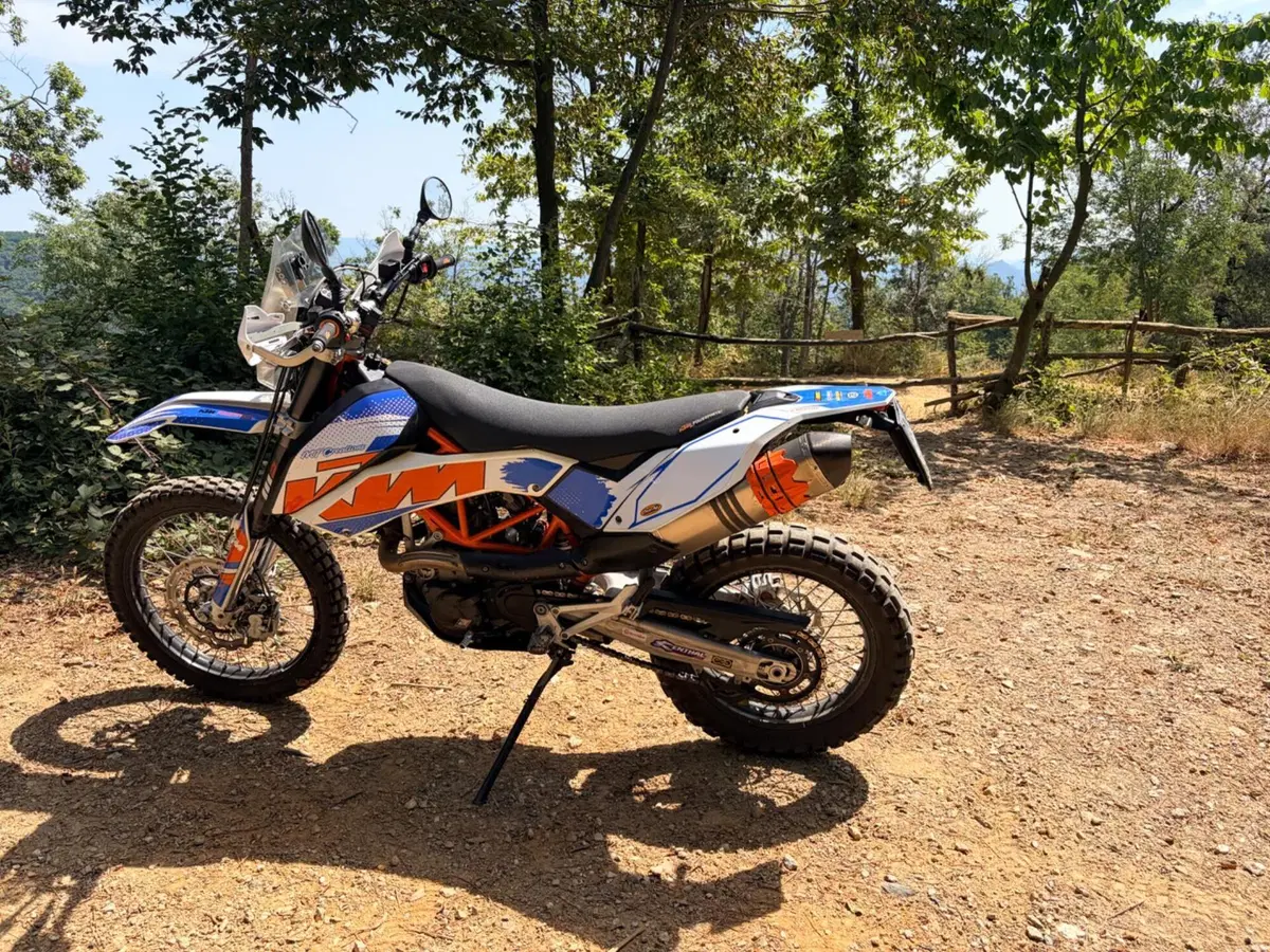 KTM 690 Enduro R (2009 - 11) (3)