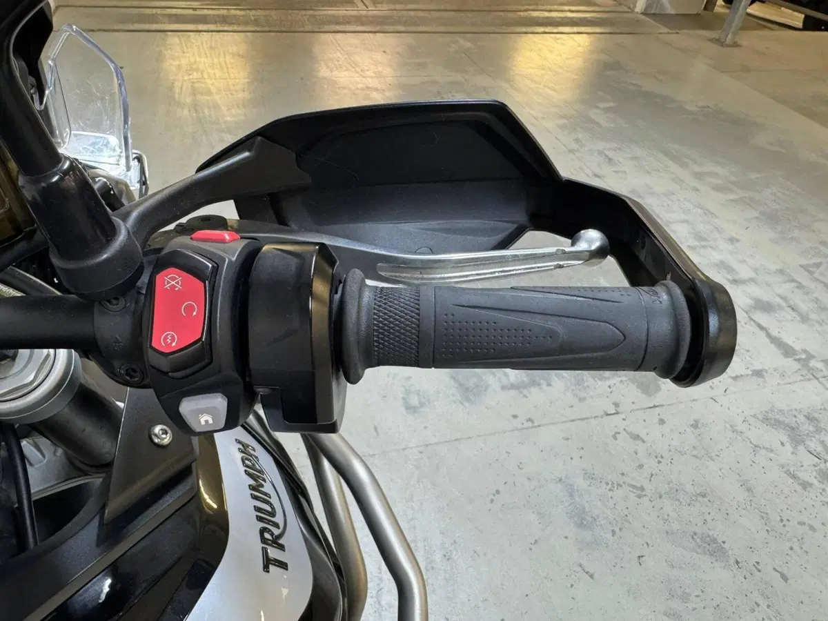 Triumph Tiger 900 GT Pro (2020 - 23) (8)