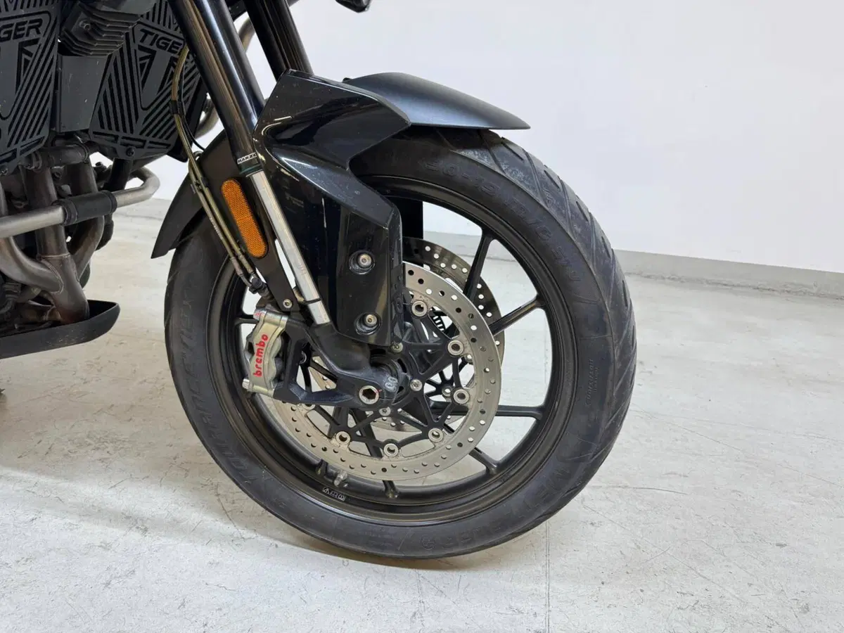 Triumph Tiger 900 GT Pro (2020 - 23) (11)