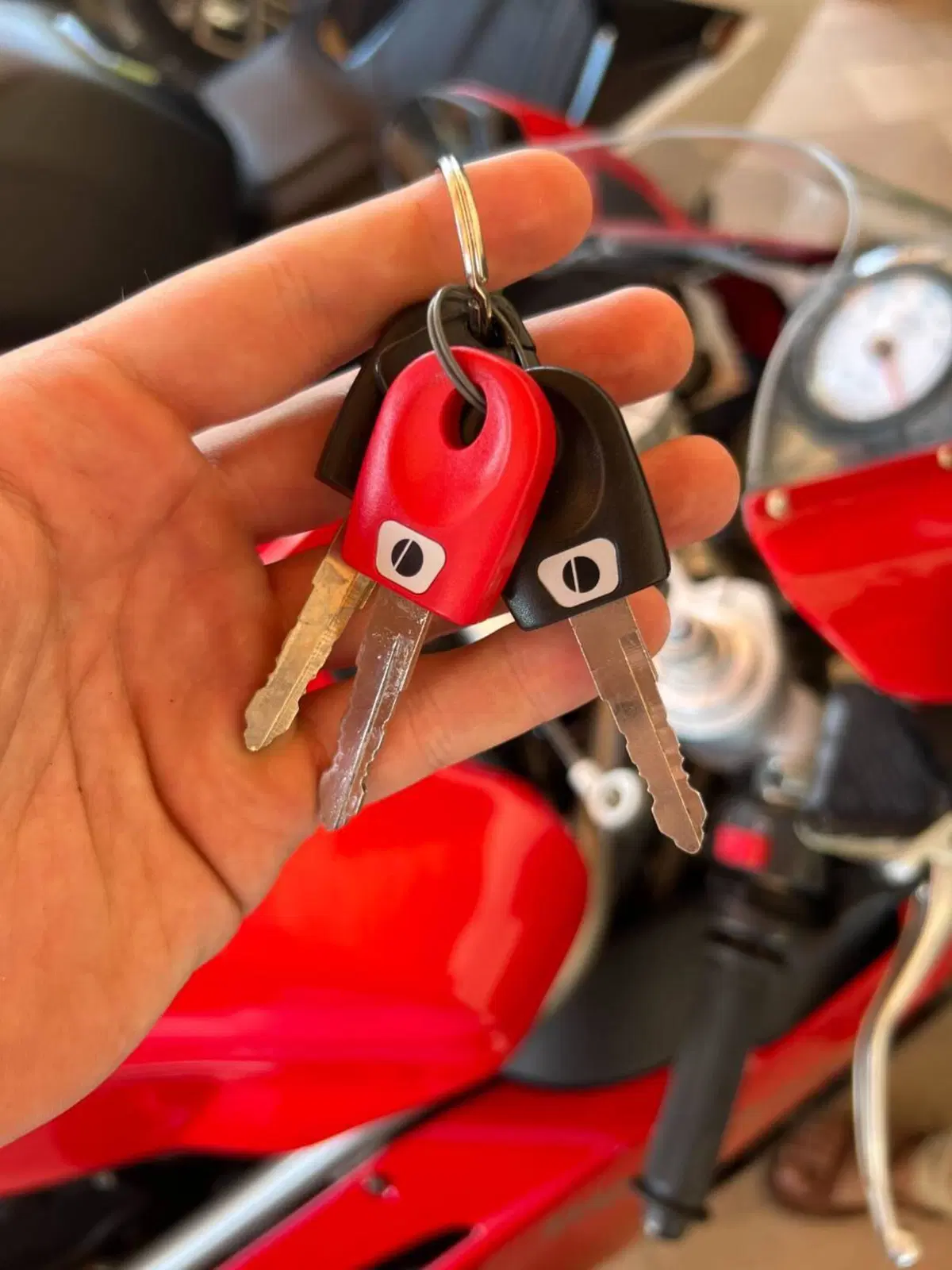 Ducati 999 S (2003 - 04) (8)